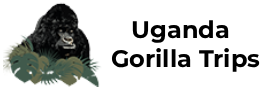 Gorilla Trips Uganda